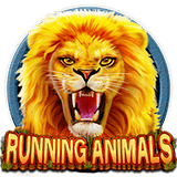 Running-animals