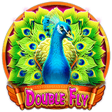 Double-fly