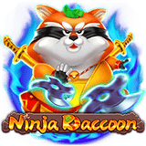 Ninja-raccoon