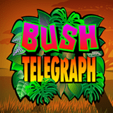 Bush-telegraph