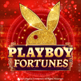 Playboy-fortunes